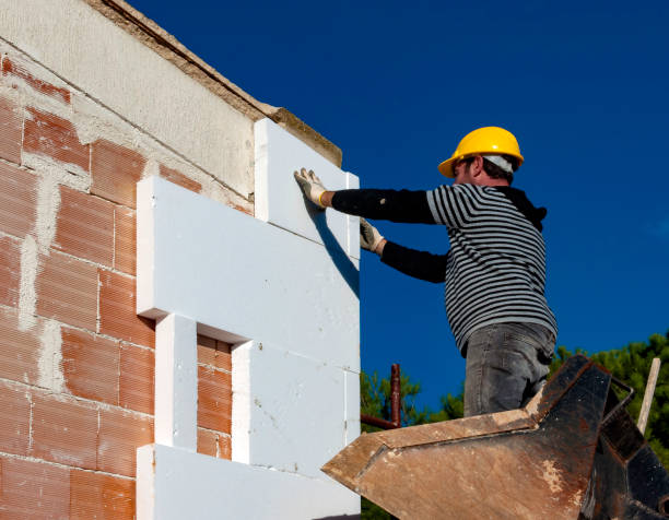 Best Residential Insulation in Apopka, FL