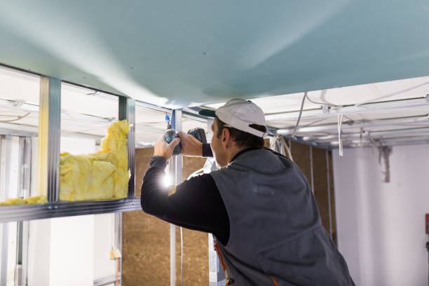 Types of Insulation We Offer in Apopka, FL