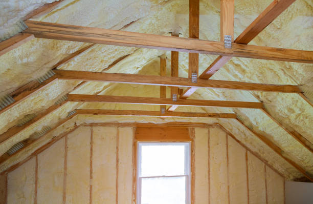 Best DIY Insulation Kits and Guidance in Apopka, FL