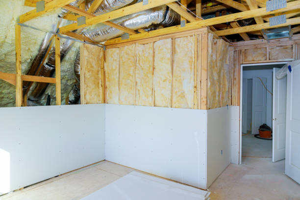 Best Eco-Friendly Insulation in Apopka, FL
