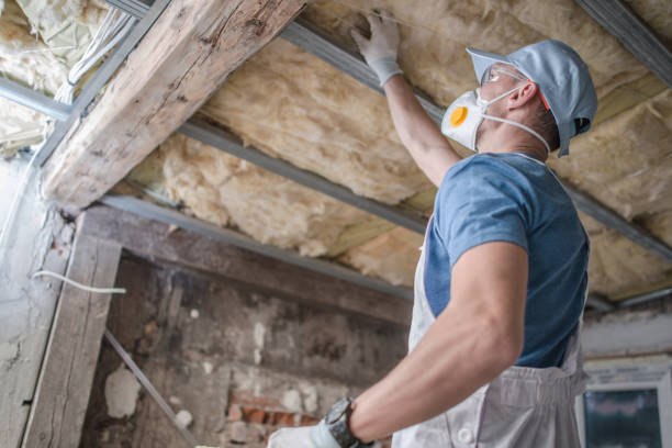 Best Blown-in Insulation in Apopka, FL