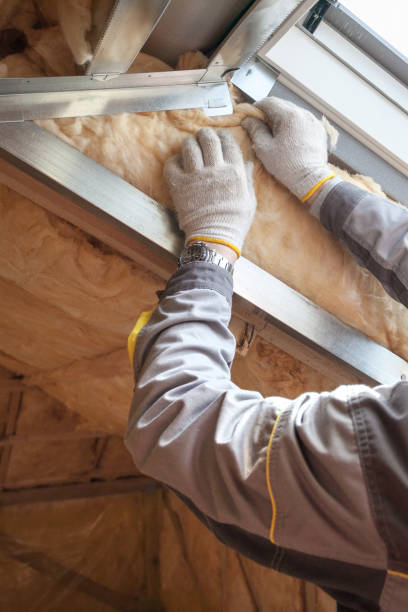 Best Blown-in Insulation in Apopka, FL