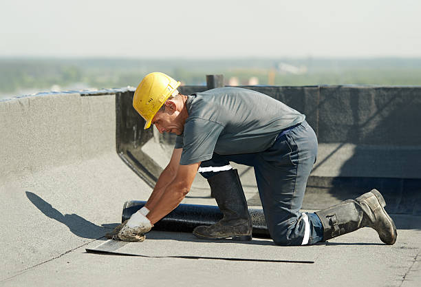 Best Geographic-Specific Insulation Services in Apopka, FL