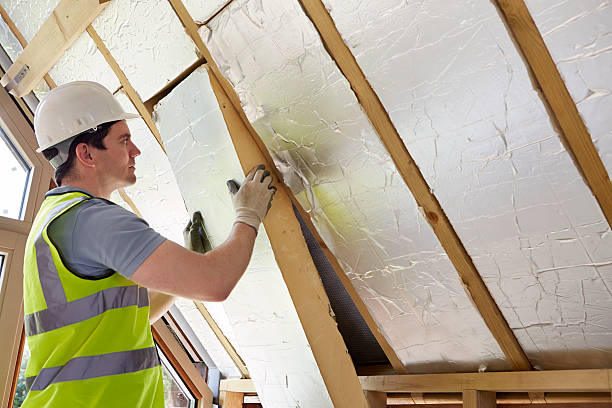Types of Insulation We Offer in Apopka, FL